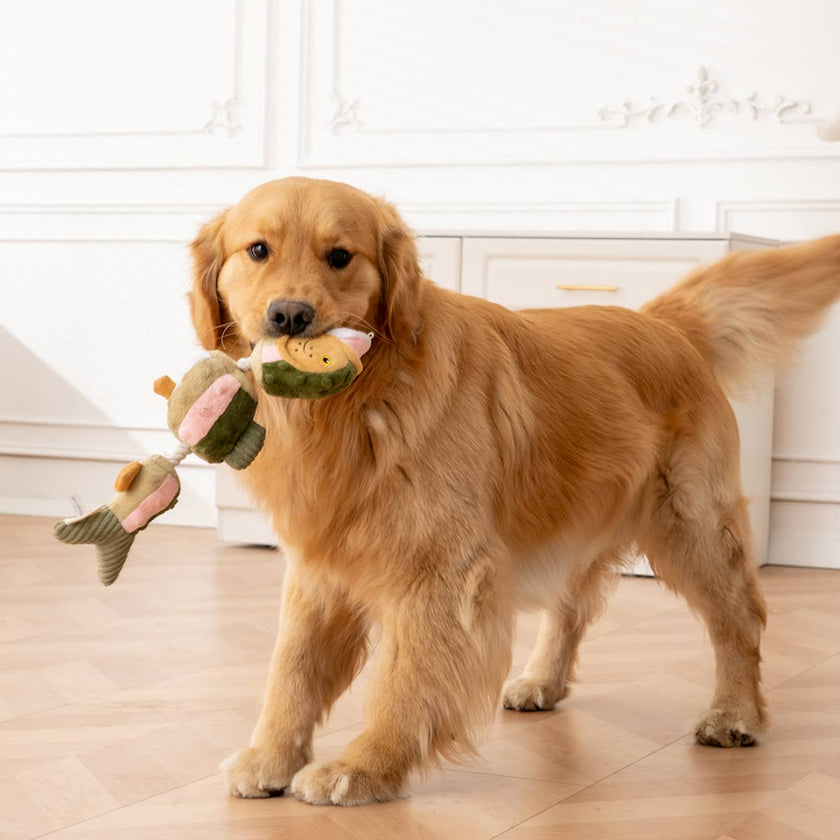 Dog Toy Trout Jointed Shake Play Plush Toy