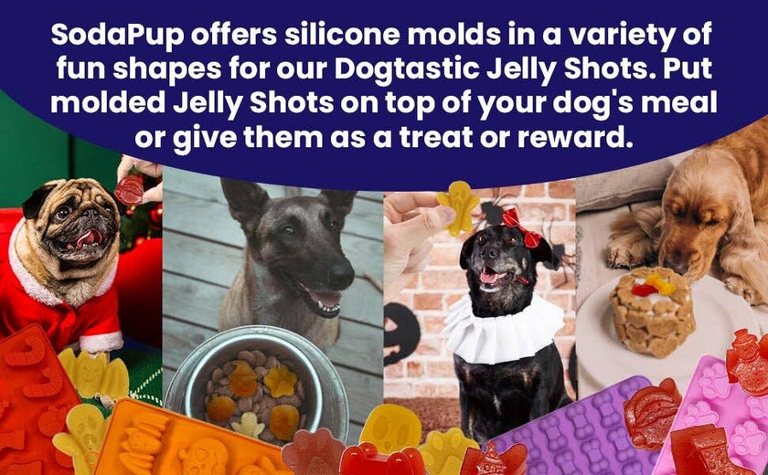 SP Dogtastic Jelly Shots Silicone Mold - Bone Shape