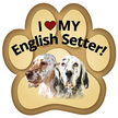 Show off your love for your favorite furry friend with our English Setter Paw Magnet! Perfect for your car trunk or any magnetic surface, this adorable paw-shaped magnet features a vibrant image of your favorite dog or cat breed. Made from durable, weather-resistant materials, it’s designed to withstand the elements while adding a touch of personality to your vehicle or home.