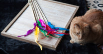 Cat Teasers Cat Toy
