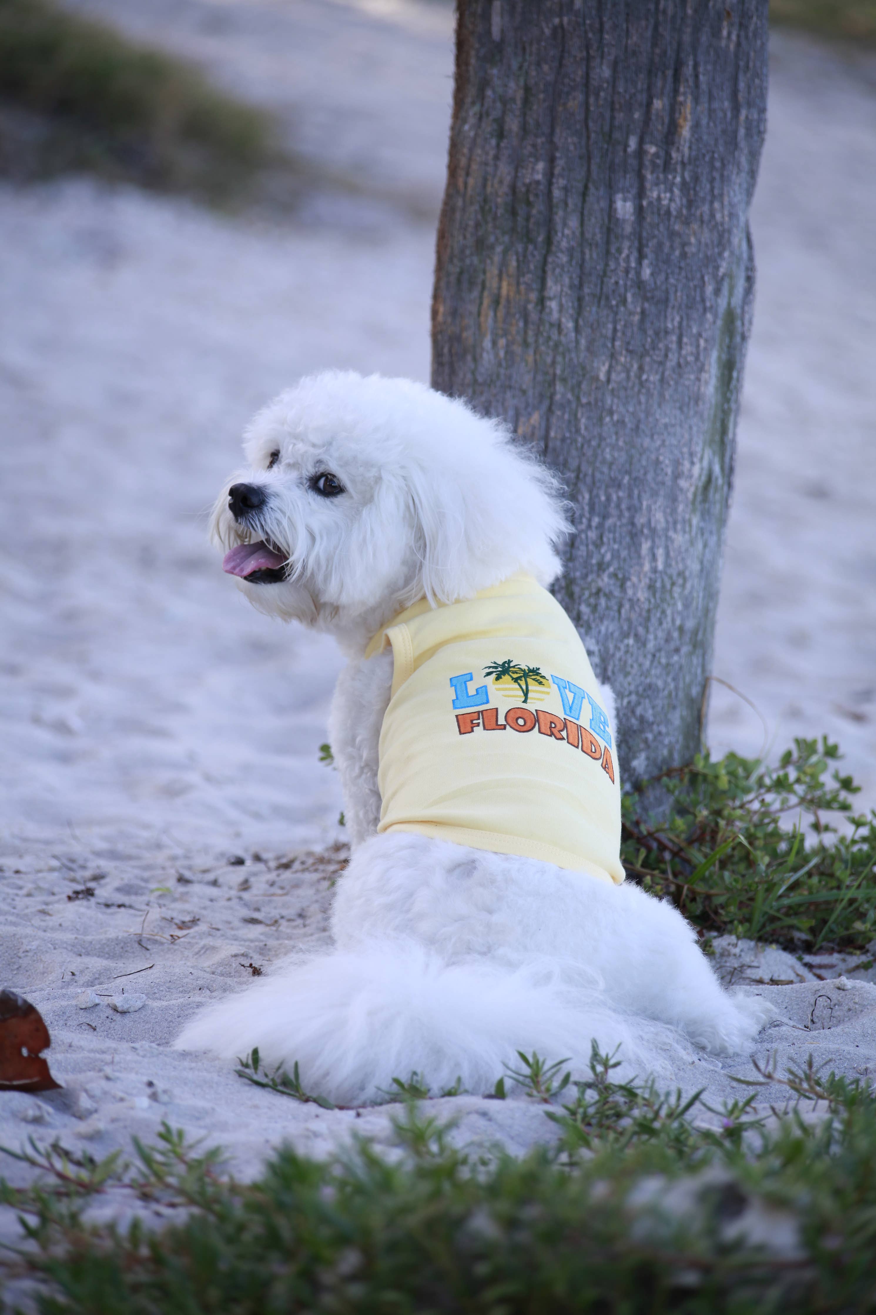 Pet Clothing Love Florida Dog or Cat Pet T-Shirt