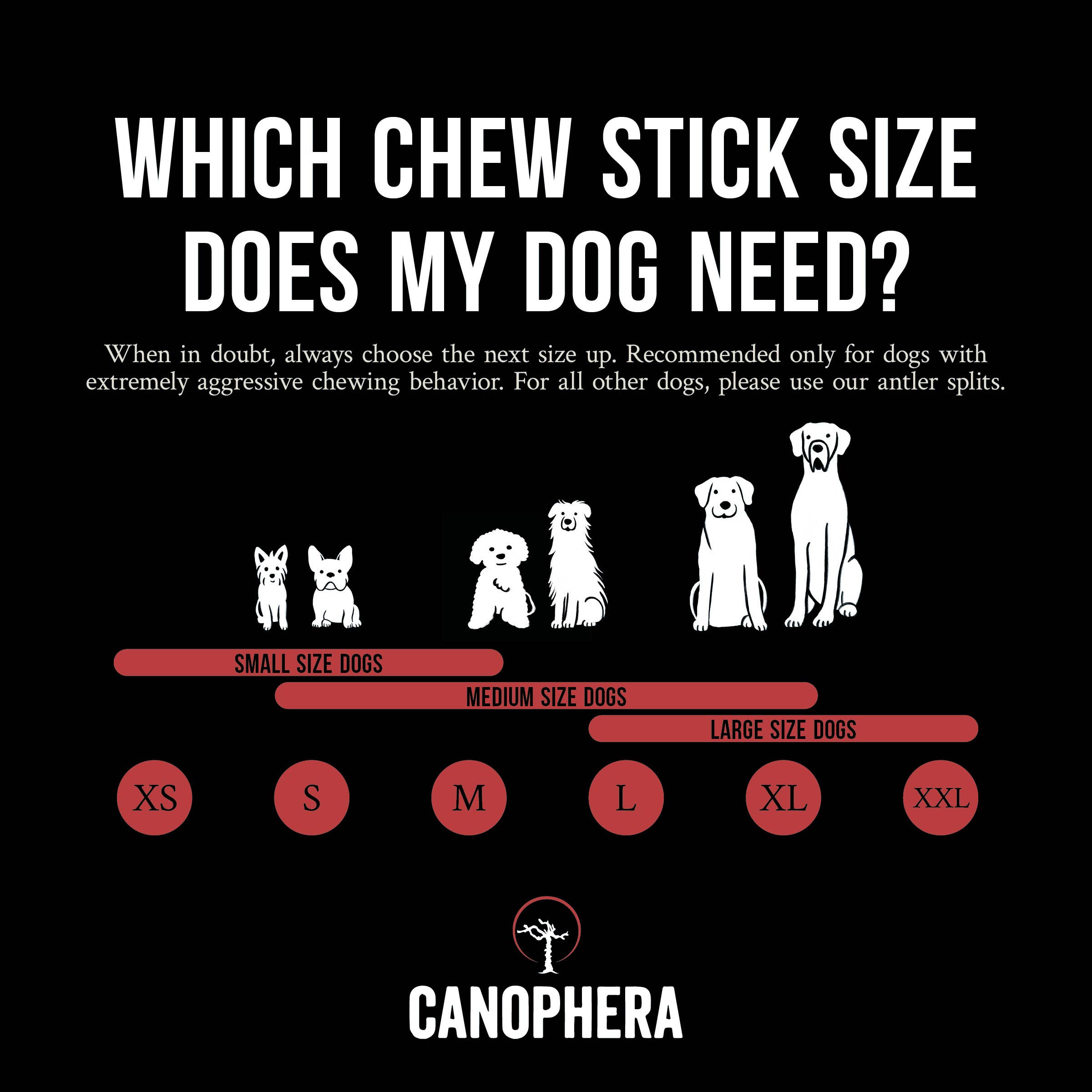Dog Chew Made of Red Deer Antlers.