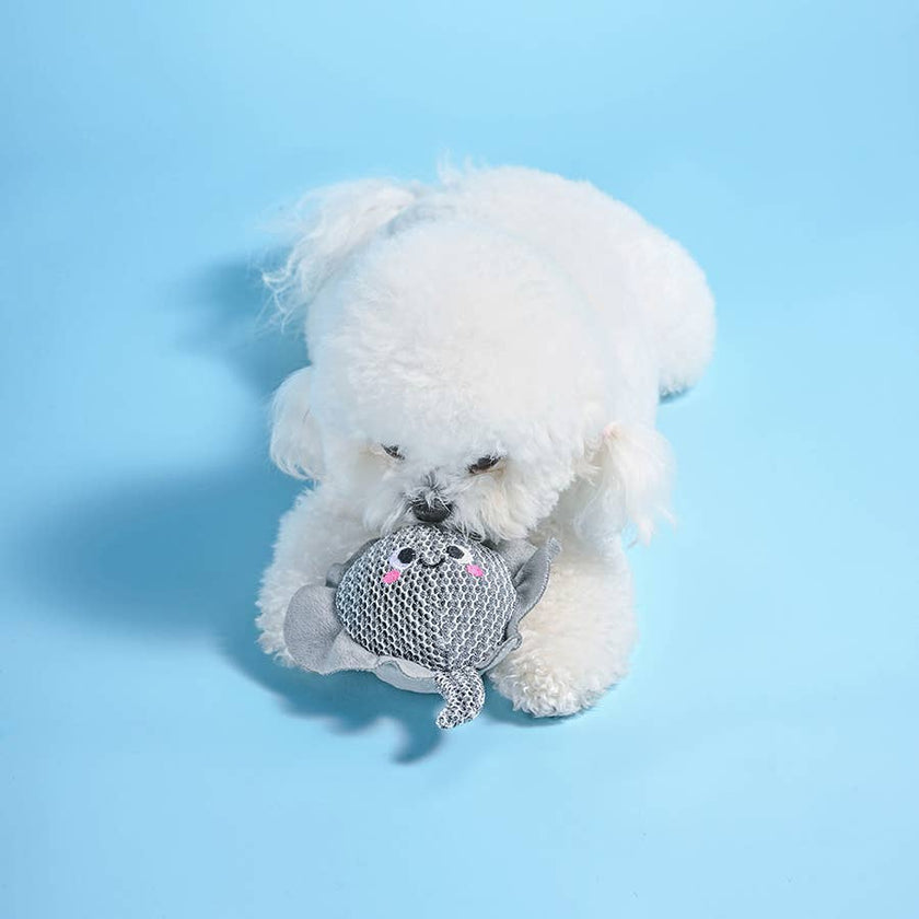 Dog Toy Stingray Floating Ocean Pals Ball Toy