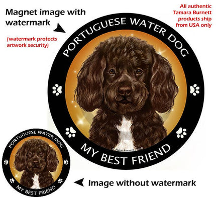 Portuguese Water Dog Brown & White My Best Friend Magnet