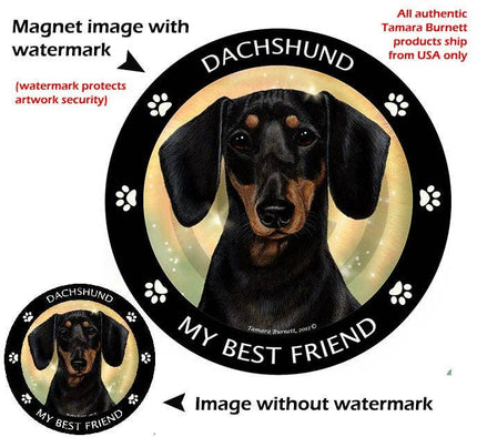 Dachshund Black and Tan My Best Friend Circular Magnet