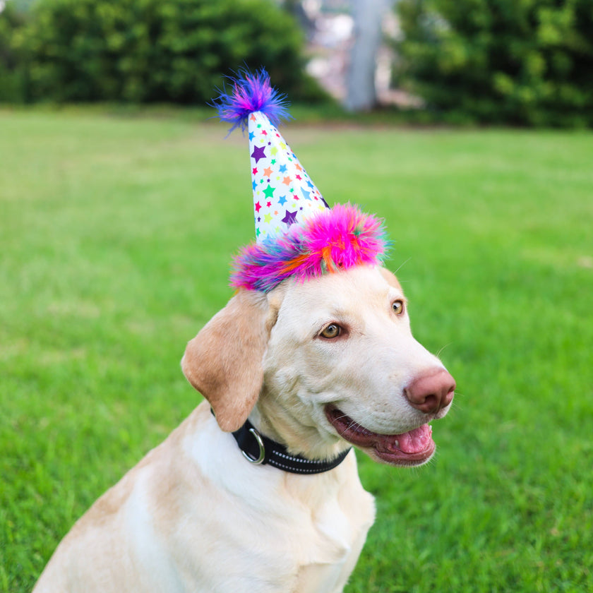 H&K Party Hat Superstar with SnugFit®