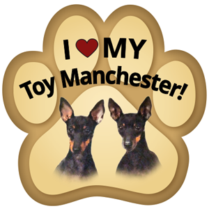 Show off your love for your favorite furry friend with our Toy Manchester Paw Magnet! Perfect for your car trunk or any magnetic surface, this adorable paw-shaped magnet features a vibrant image of your favorite dog or cat breed. Made from durable, weather-resistant materials, it’s designed to withstand the elements while adding a touch of personality to your vehicle or home