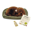 Plenty Gifts Perfect Petzzz Labrador braun Plüschtier - Zoo Plenty Gifts Perfect Petzzz Labrador braun Plüschtier - Zoo