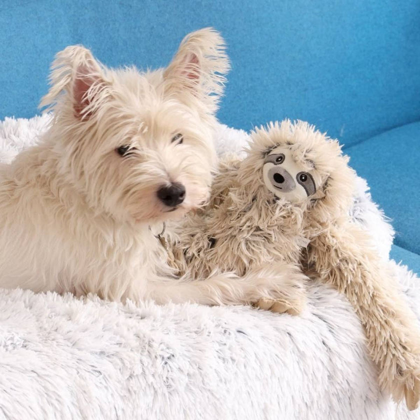 Dog Toy Sloth Rope Body Tug Plush Toy