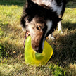 KONG Jumble Flinger Dog Enrichment Toy Assorted Medium/Large