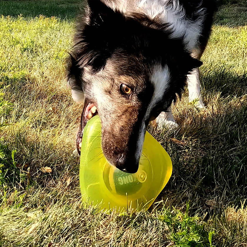 KONG Jumble Flinger Dog Enrichment Toy Assorted Medium/Large
