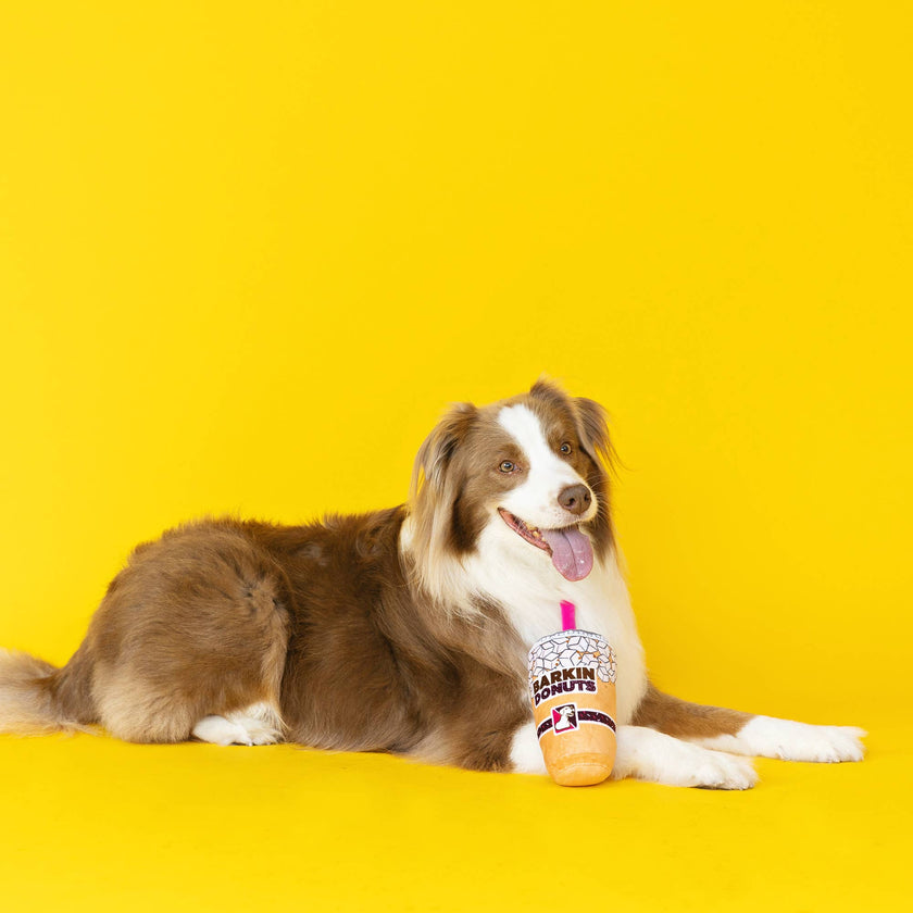 Wagsdale Fringe Barkin Donuts Iced Coffee Plush Dog Toy