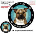 Pit Bull Brown & White Uncropped My Best Friend Magnet