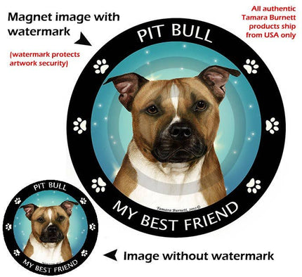 Pit Bull Brown & White Uncropped My Best Friend Magnet