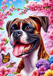 Boxer Brindle -  DCR Spring II House Flag