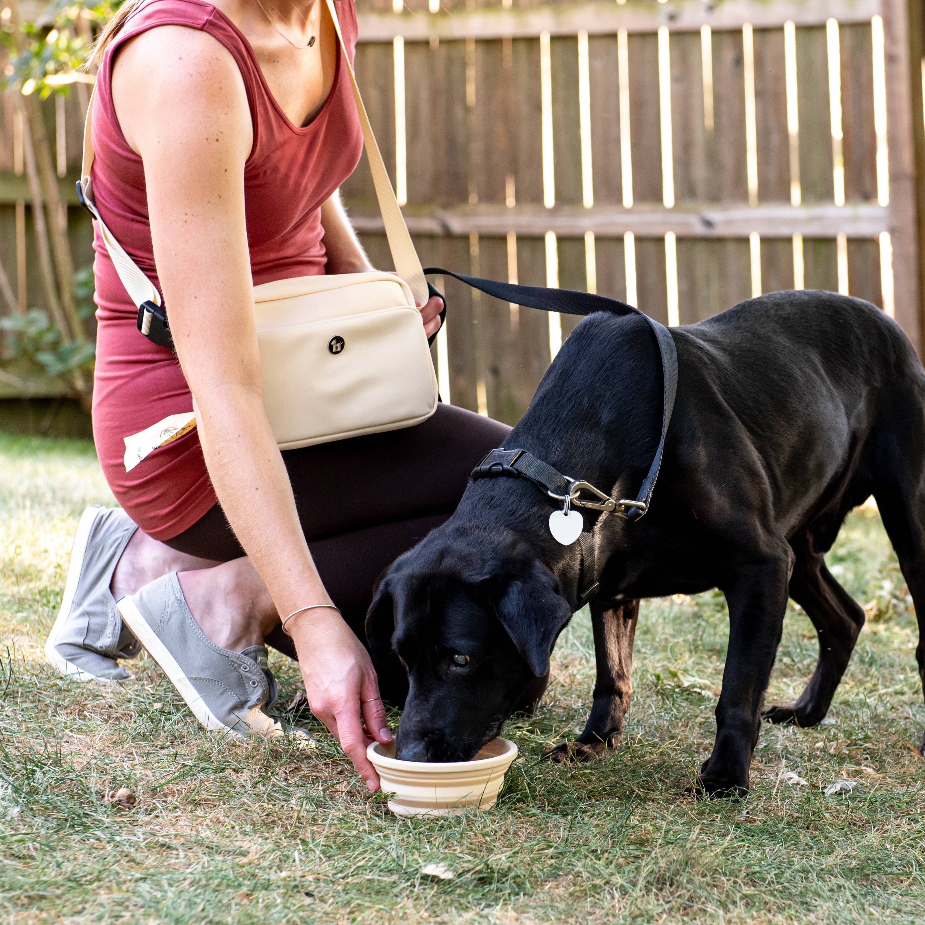 Travel Slow Feeder Dog Bowl with Non-Slip Suction Bottom
