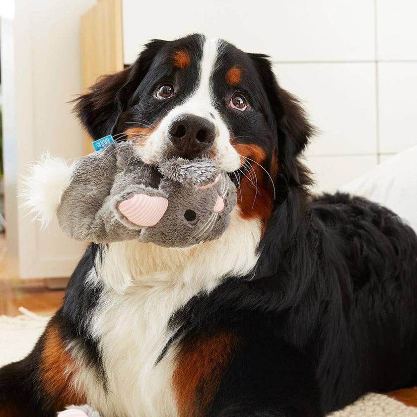 BARK Itty & Bitty the Bunny Slippers Dog Toy