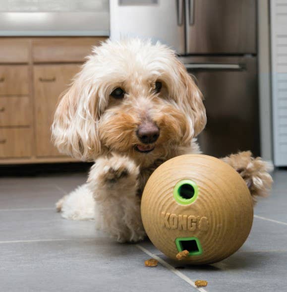 Dog Toy Treat Ball KONG® Bamboo Feeder Ball Dog Enrichment Toy Medium