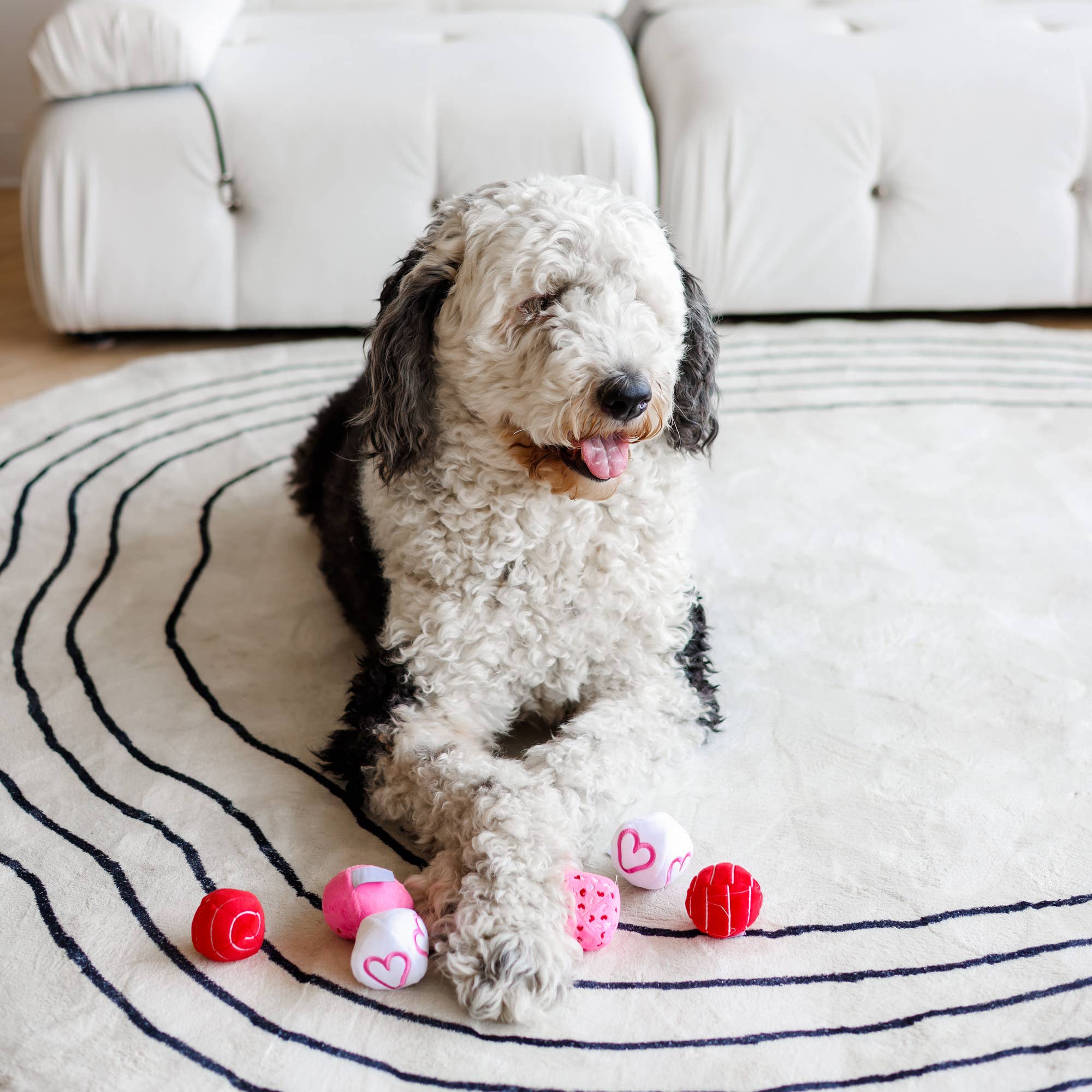 Valentine Plush Ball Dog Toy Single Assorted