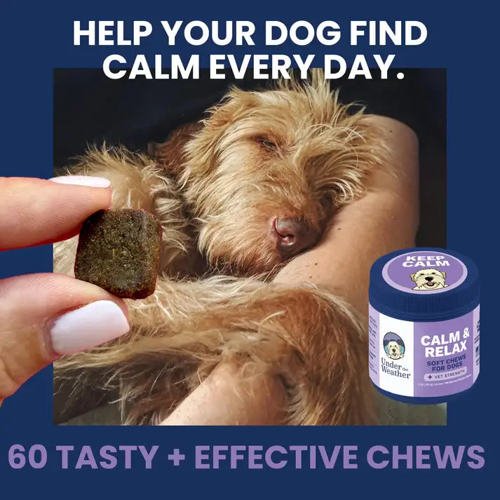 Dog Treat Under the Weather Calming Soft Chew 60ct