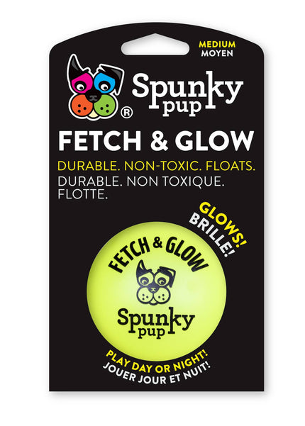 Dog Toy Fetch and Glow Floating Ball