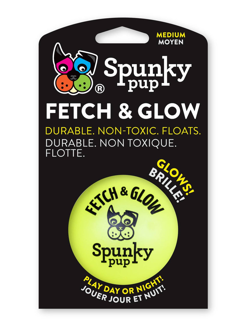 Dog Toy Fetch and Glow Floating Ball