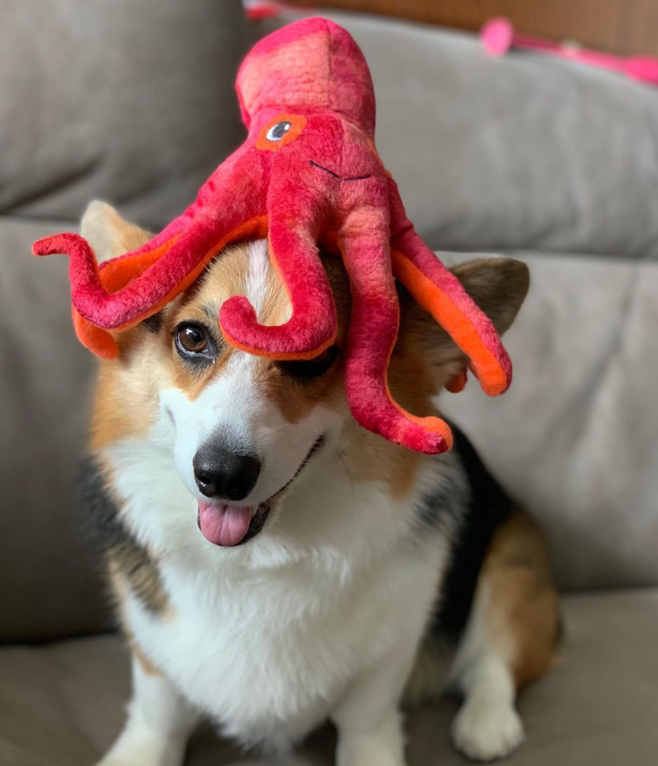 SnugArooz Olivia the Octopus Plush Dog Toy 11