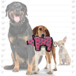 Tuffy Jr Barnyard Pig, Durable, Tough, Squeaky Dog Toy