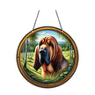 Blood Hound Acrylic Suncatcher with Chain