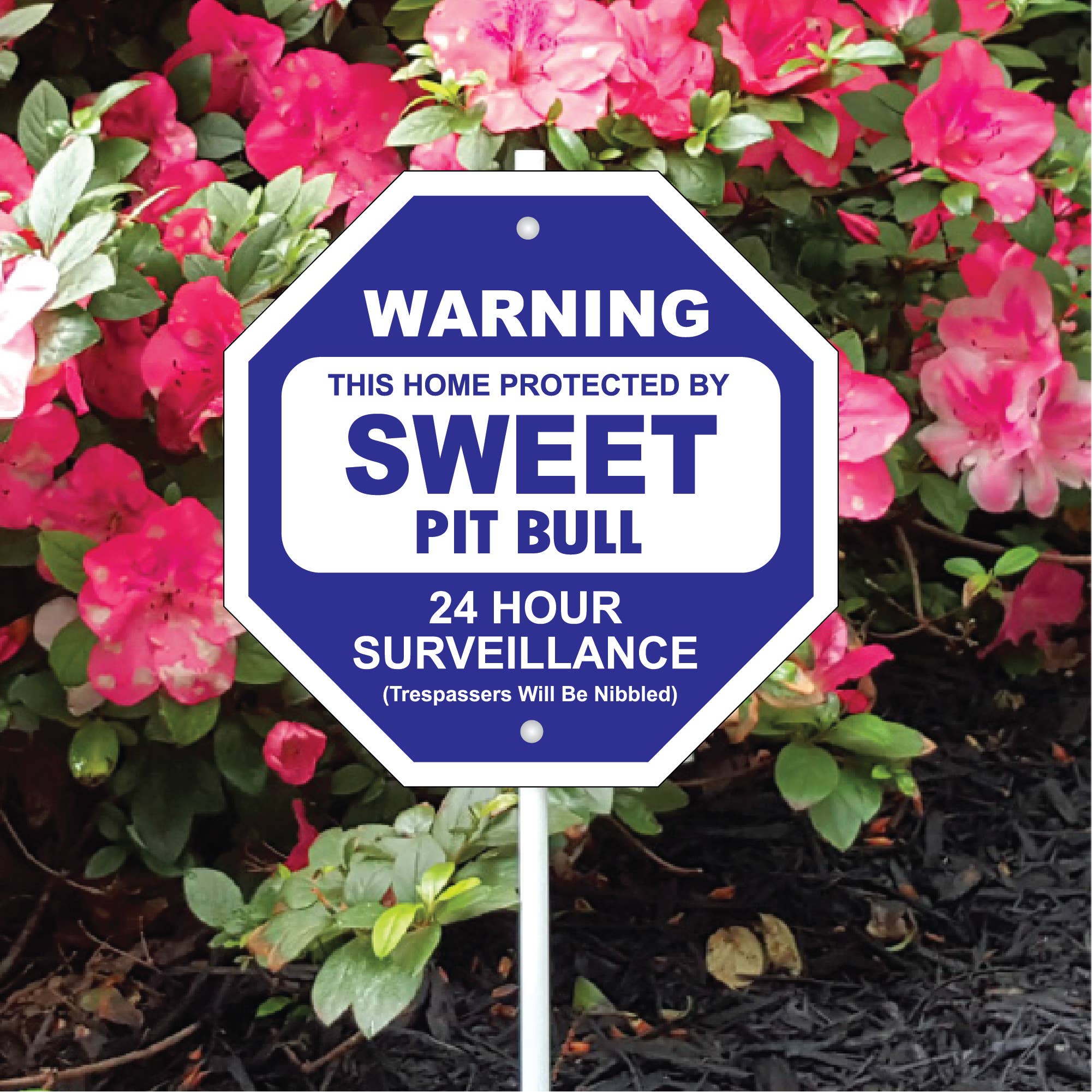 Sweet Pit Bull Garden Security Sign