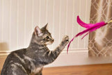 Cat Teasers Cat Toy