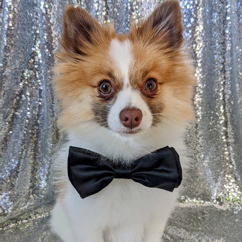 H&K Bow Tie Black Satin