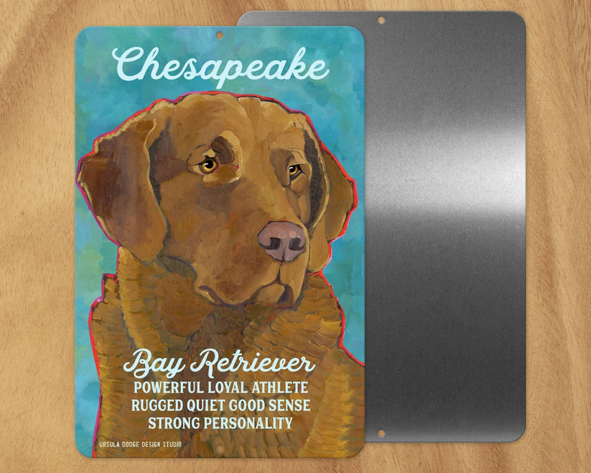 Chesapeake Bay Retriever -UD Metal Sign
