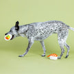 Dog Toy Sushi Theme 2pc Soymates Latex Toy Set