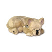 French Bulldog Perfect Petzz