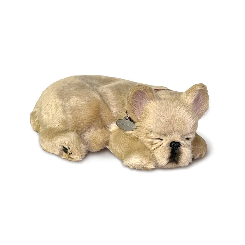 French Bulldog Perfect Petzz