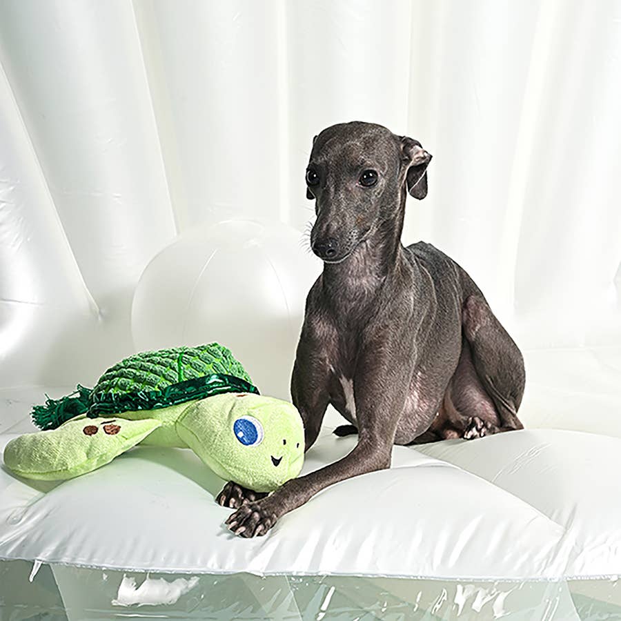 Dog Toy Sea Turtle Green Dog Plush Rope Toy