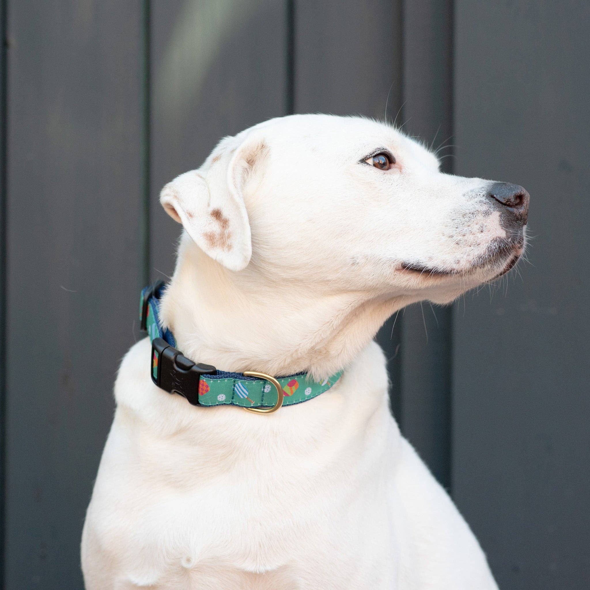 Pickleball Dog Collar