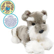 Siegfried The Schnauzer | 13 Inch Stuffed Animal Plush
