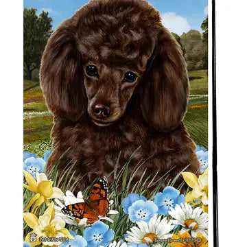 Poodle, Chocolate Garden Flag (Summer Flowers)