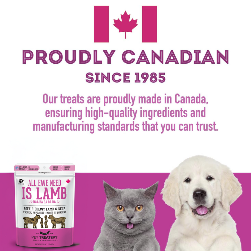 Lamb & Kelp Soft Dog Treats: Chewy & All-Natural