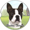 Boston Terrier Car Coaster