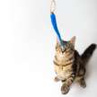 Cat Toy Wand Attachment Toy A-Lure-Ring Ring with tail