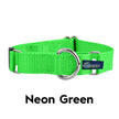 Martingale Nylon Dog Collar