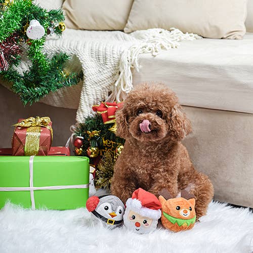Dog Toy Santa Ball Christmas Happy Woofmas Ball Toy