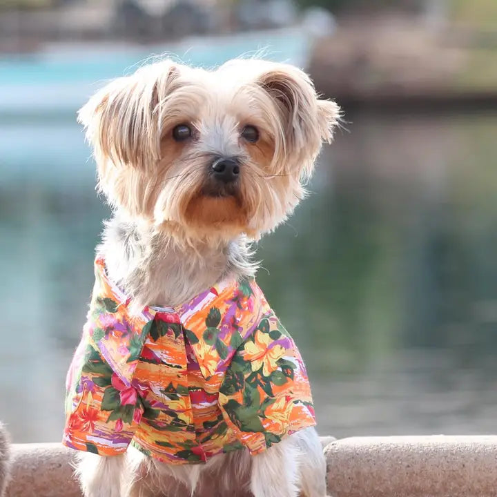 Hawaiian Dog Camp Shirt Sunset Hibiscus Pet Clothing