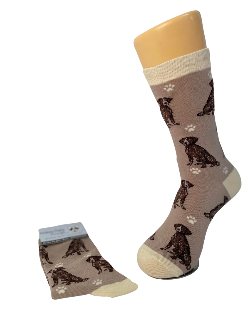 German Shorthaired Pointer - Unisex - Fun Novelty Dog Socks