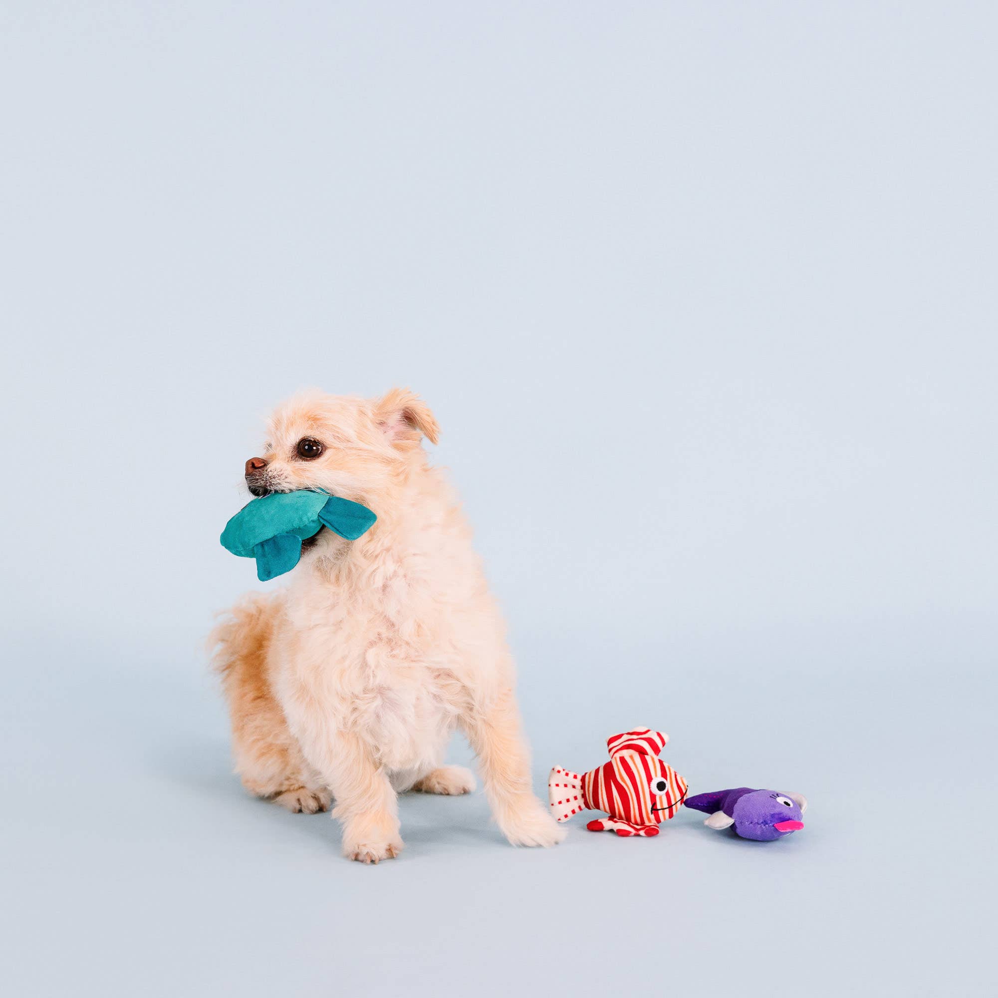 Doy Toy Fish Small Dog 3pc Plush Set