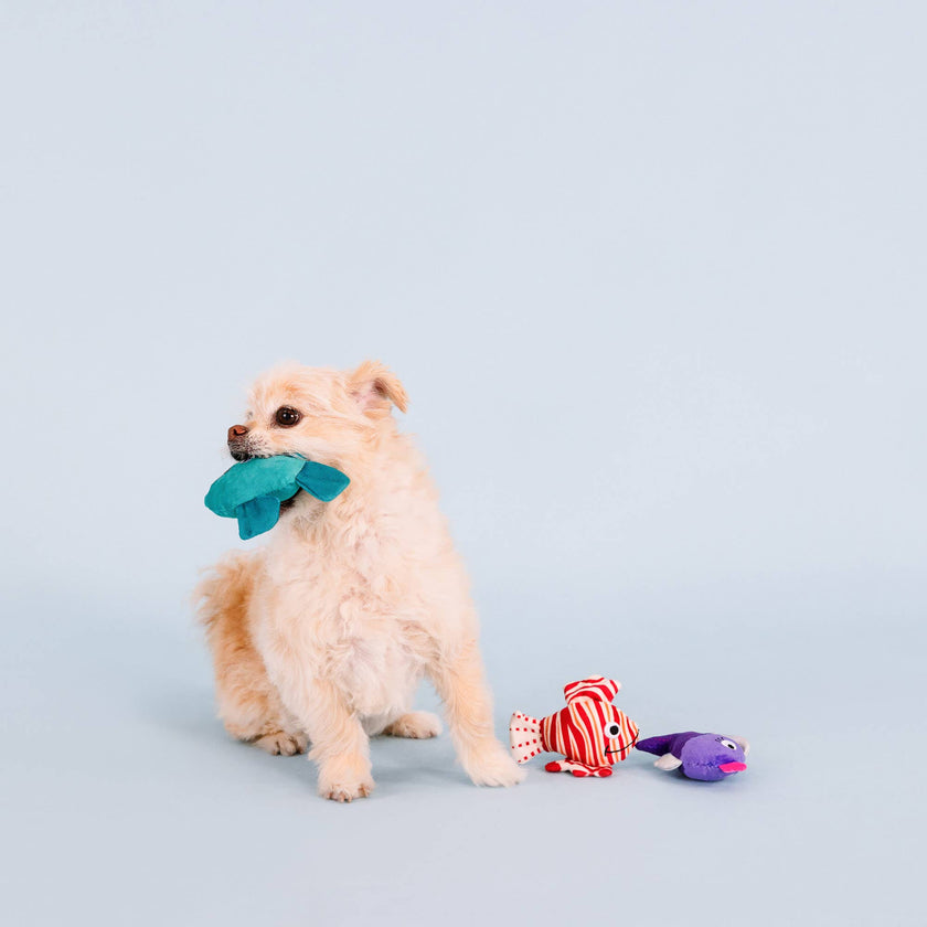 Doy Toy Fish Small Dog 3pc Plush Set