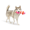 Fetchies® Love Bug Dog Toy